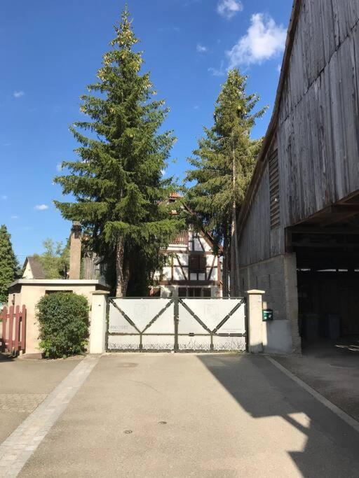Paisible Logement Tout Equipe Pour 1 A 6 Personnes Ebersheim Екстер'єр фото